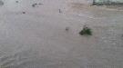 تقرير محلي: وفاة وإصابة 40 شخصاً بسبب الأمطار والسيول في المهرة...