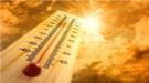 الفاو تتوقع تجاوز درجات الحرارة حاجز الـ40 في المناطق الساحلية باليمن خلال الأيام القادمة ...